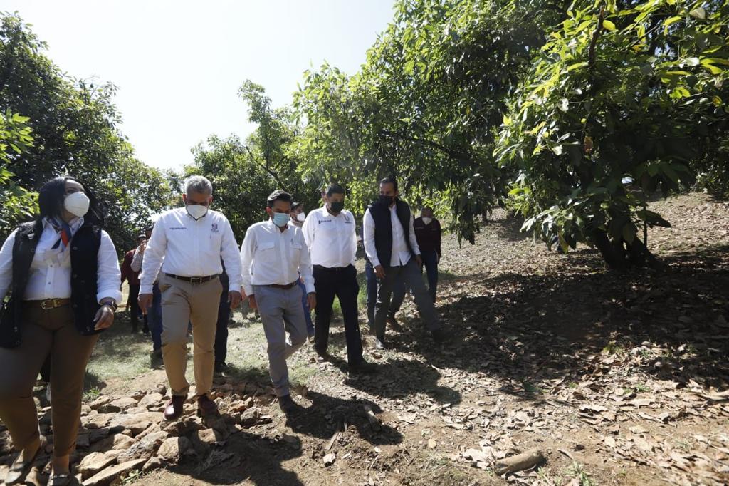 Imss Busca Dar Seguridad Social A Trabajadores Del Campo De Michoacán Infobae