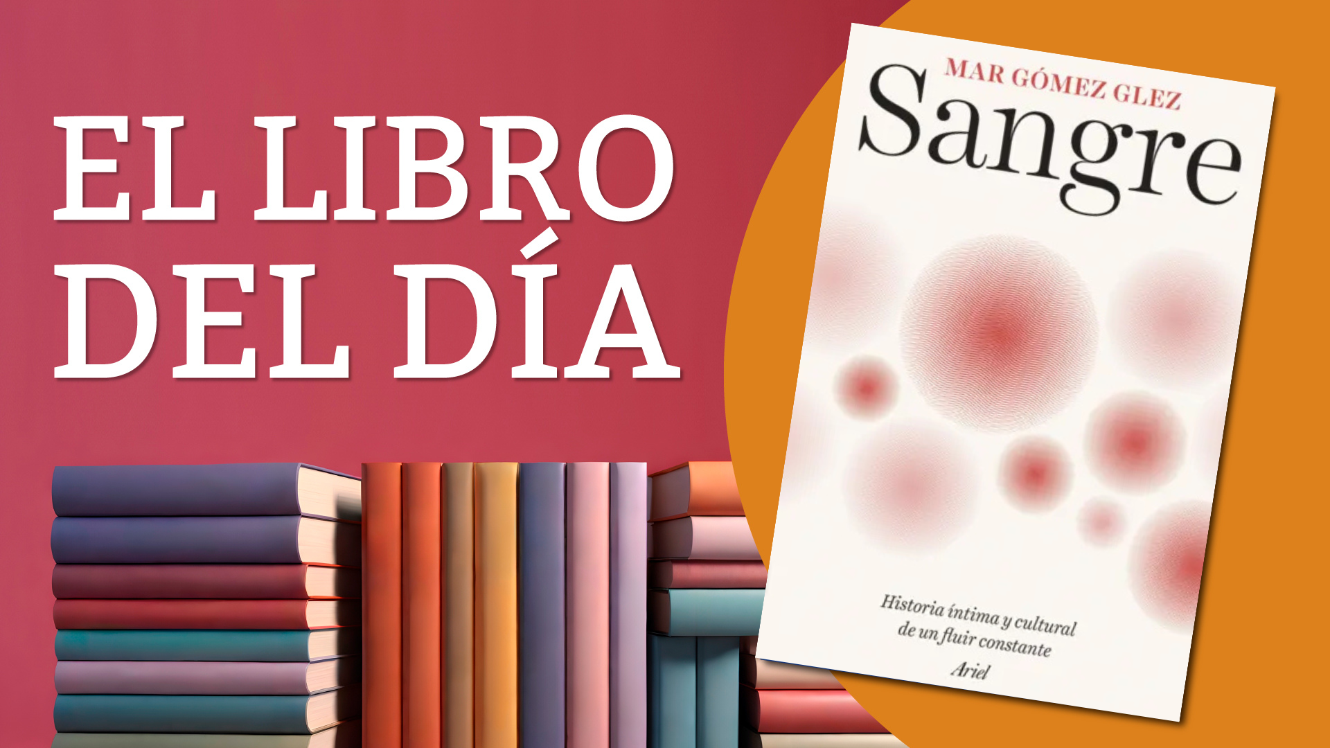 El video de una comerciante de Mar del Plata que espantó a un ladrón con una cuchilla: “Volá, volá, volá”