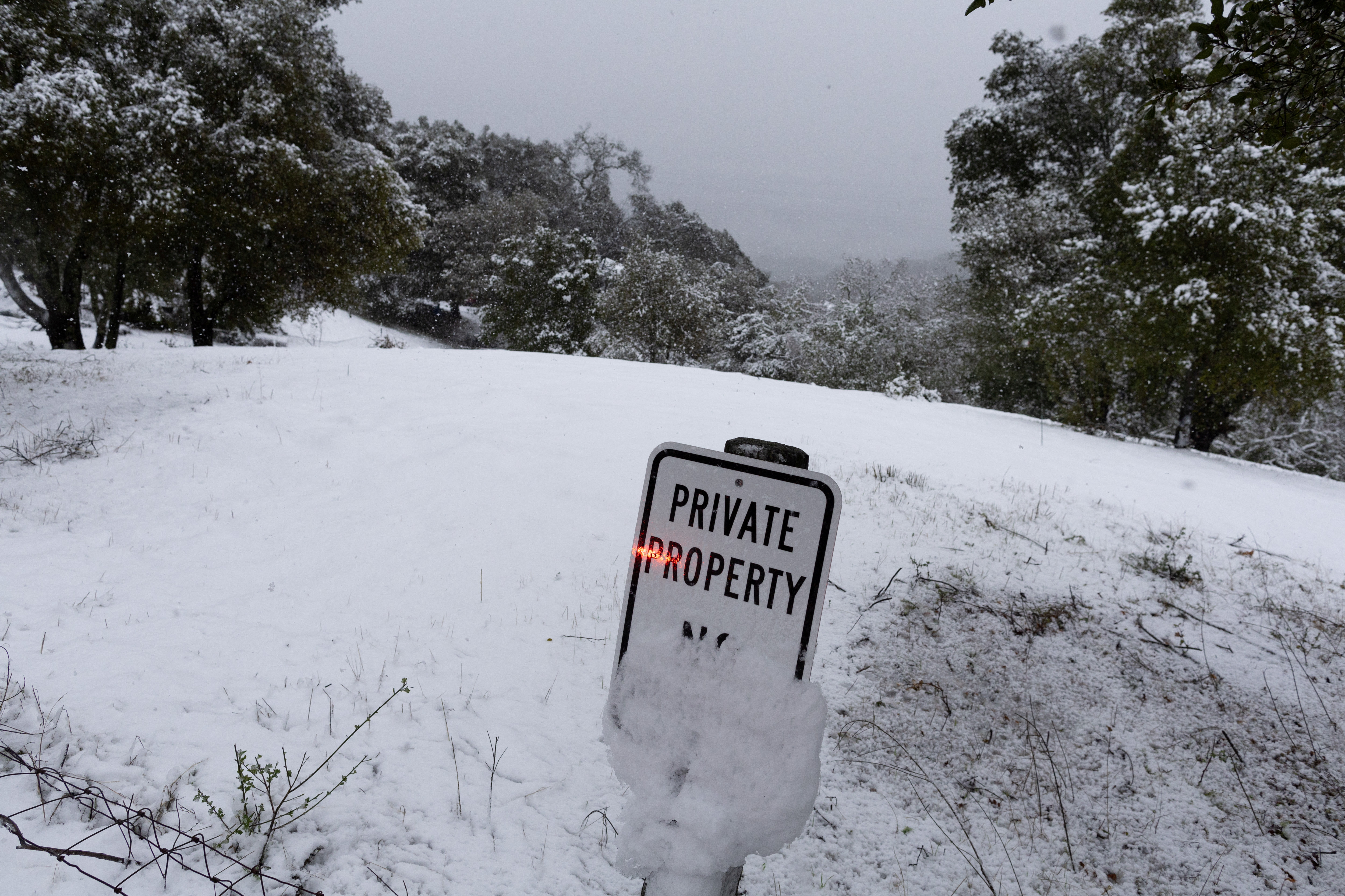 Una propiedad cubierta por nieve  (REUTERS/Carlos Barria)