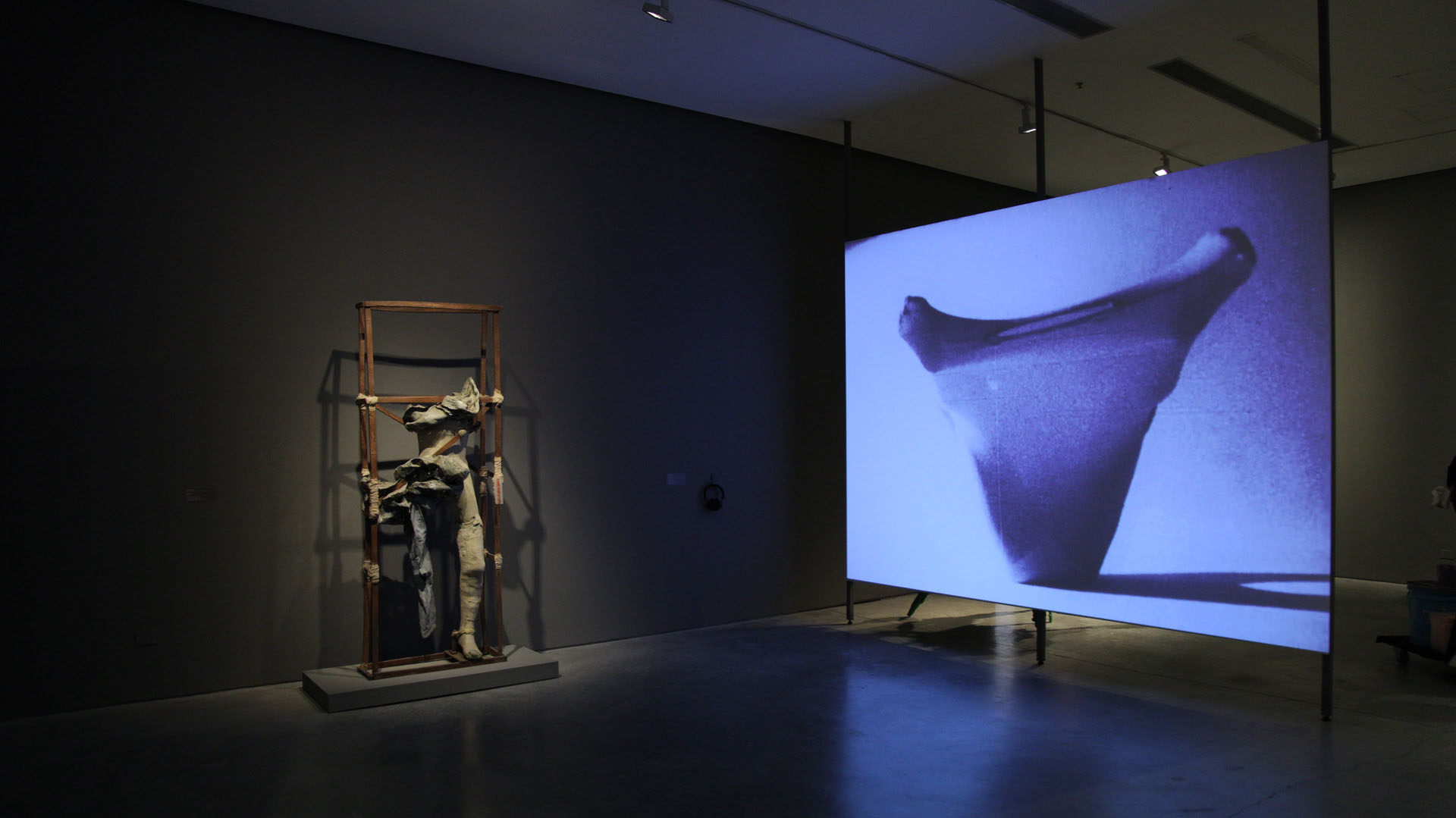 El Museo Moderno presenta el segundo episodio de su programa “Un día en la  Tierra” - Infobae