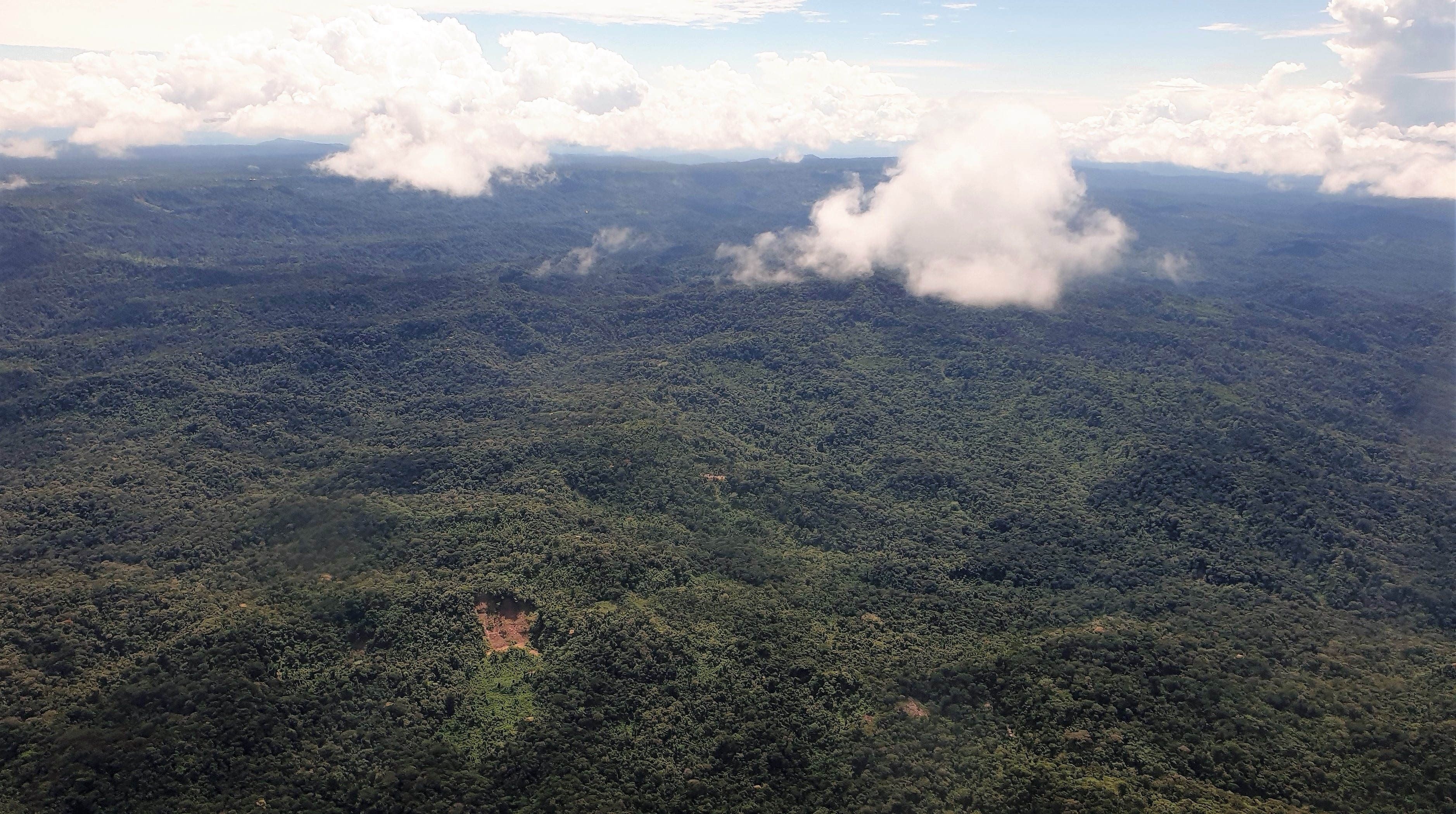 Fotografía tomada en junio de 2020 en la que se registró una vista aérea de una zona boscosa de la Amazonia ecuatoriana, en la provincia de Pastaza, fronteriza con Perú (Ecuador). EFE/Juan Francisco Chávez/Archivo
