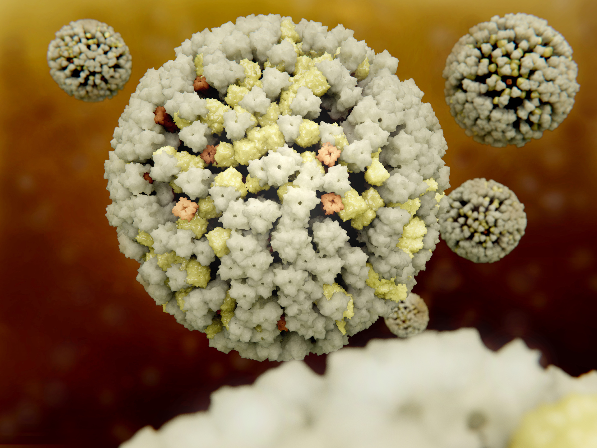 Il est probable que les gens aient perdu le contact avec les différentes souches du virus de la grippe pendant la pandémie et que moins de personnes aient développé des défenses (Archive)