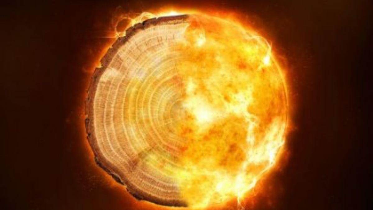 Los anillos de los árboles revelan cómo las tormentas de radiación solar golpean la Tierra