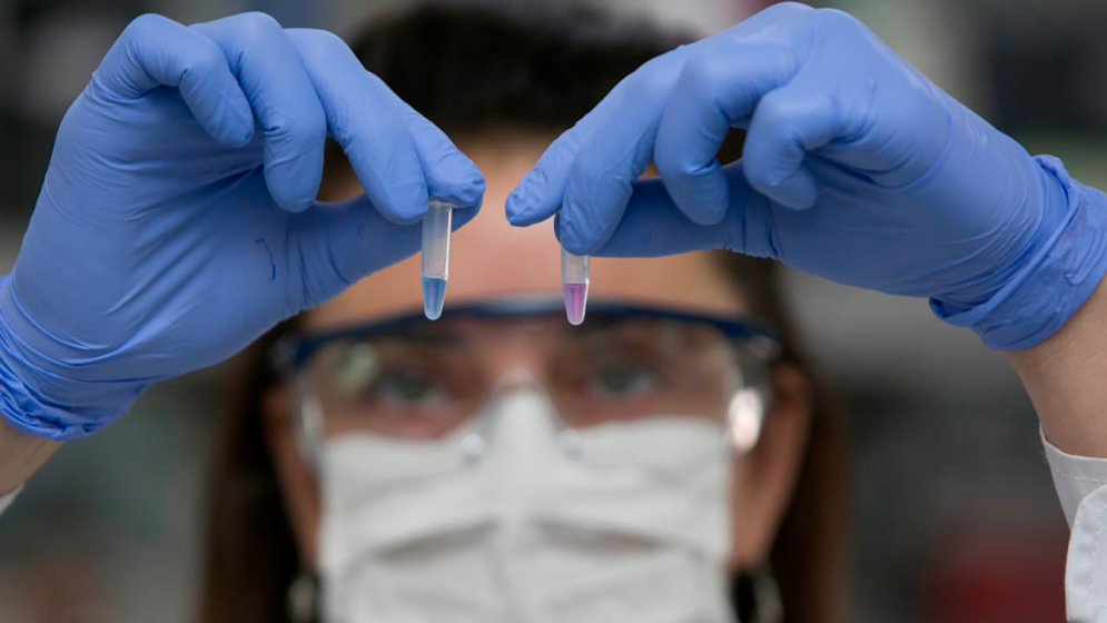 La científica Luciana Larocca muestra los reactivos en el laboratorio, azul si es positivo por COVID-19 y violeta o lila si el resultado es negativo (MinCyT)