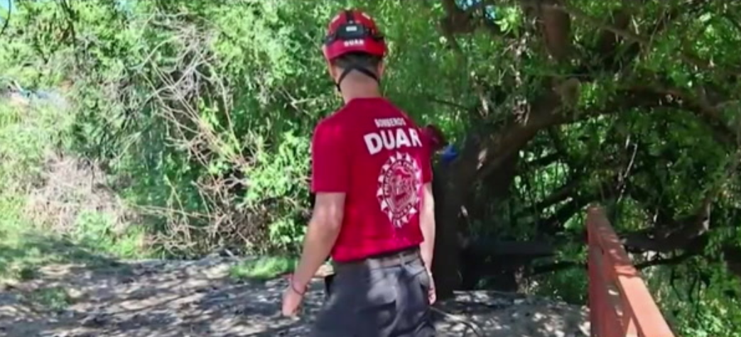 Un tatuaje fue la clave para identificar los restos encontrados por un perro en Córdoba: quién era la víctima