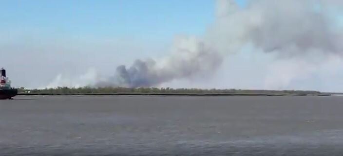Incendios en el río Paraná: intentan determinar el impacto que tuvieron sobre  la flora y la fauna del lugar - Infobae