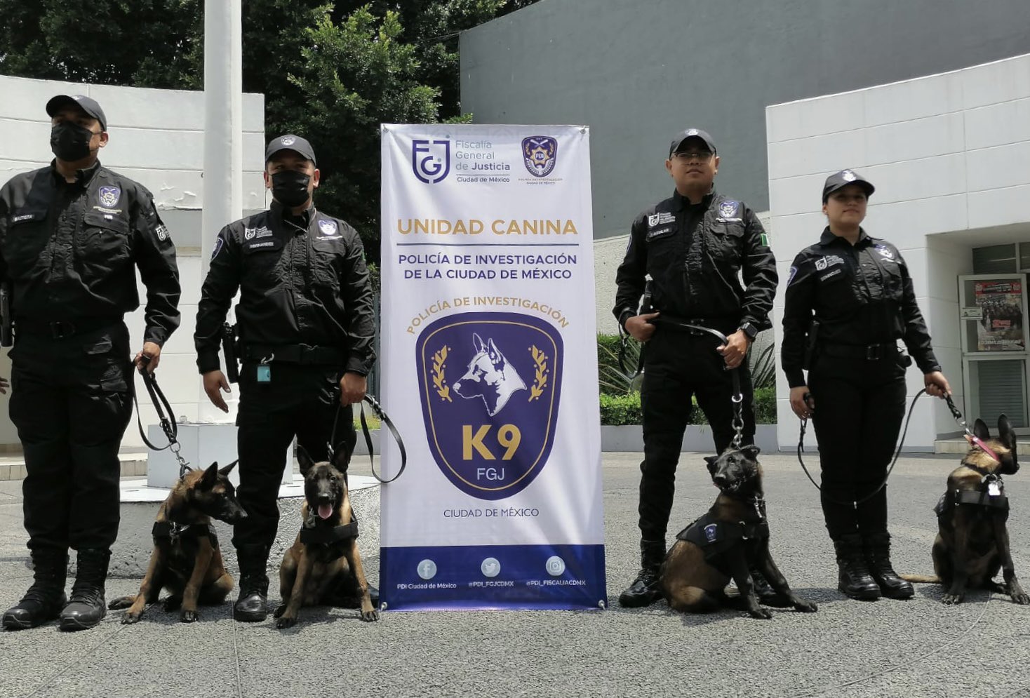 Grupo Lobos K9 POES detiene a individuo y asegura narcóticos - Amanecer  Querétaro, image size:1468x995