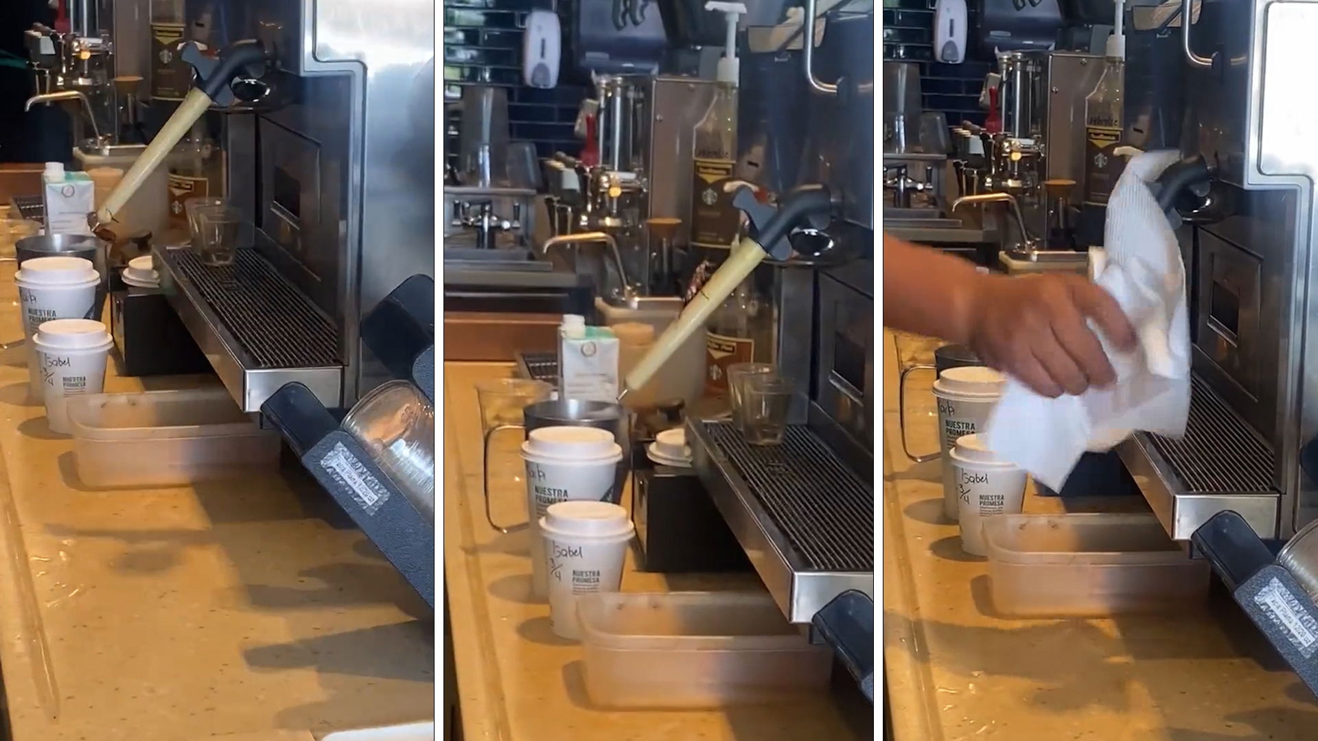 ¡Qué asco!: una cucaracha fue grabada en una cafetería en Cancún y los viajeros explotaron en redes sociales 