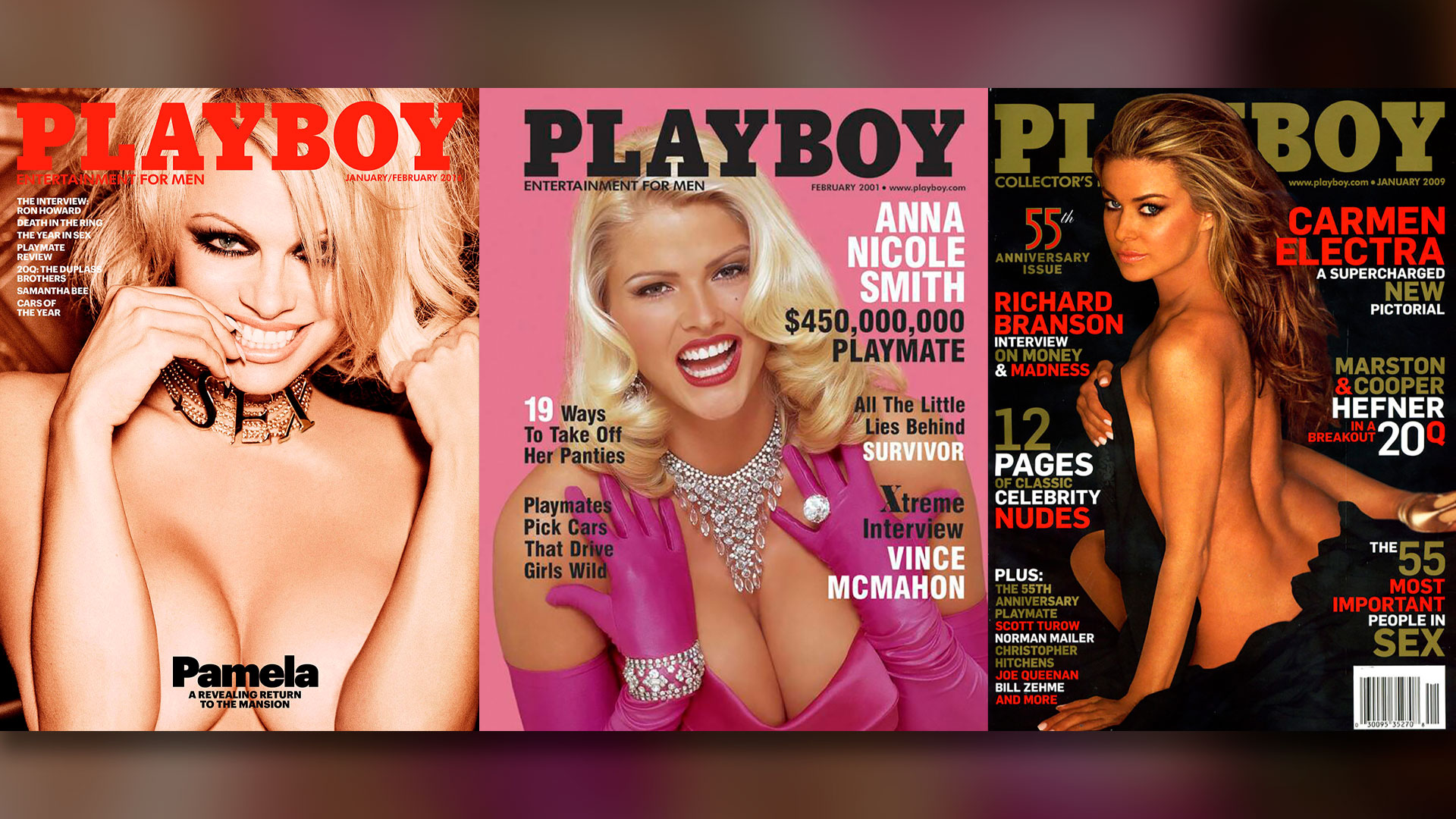 Hablar en voz alta Armstrong Romper Qué fue de la vida de las 8 conejitas de Playboy más famosas - Infobae