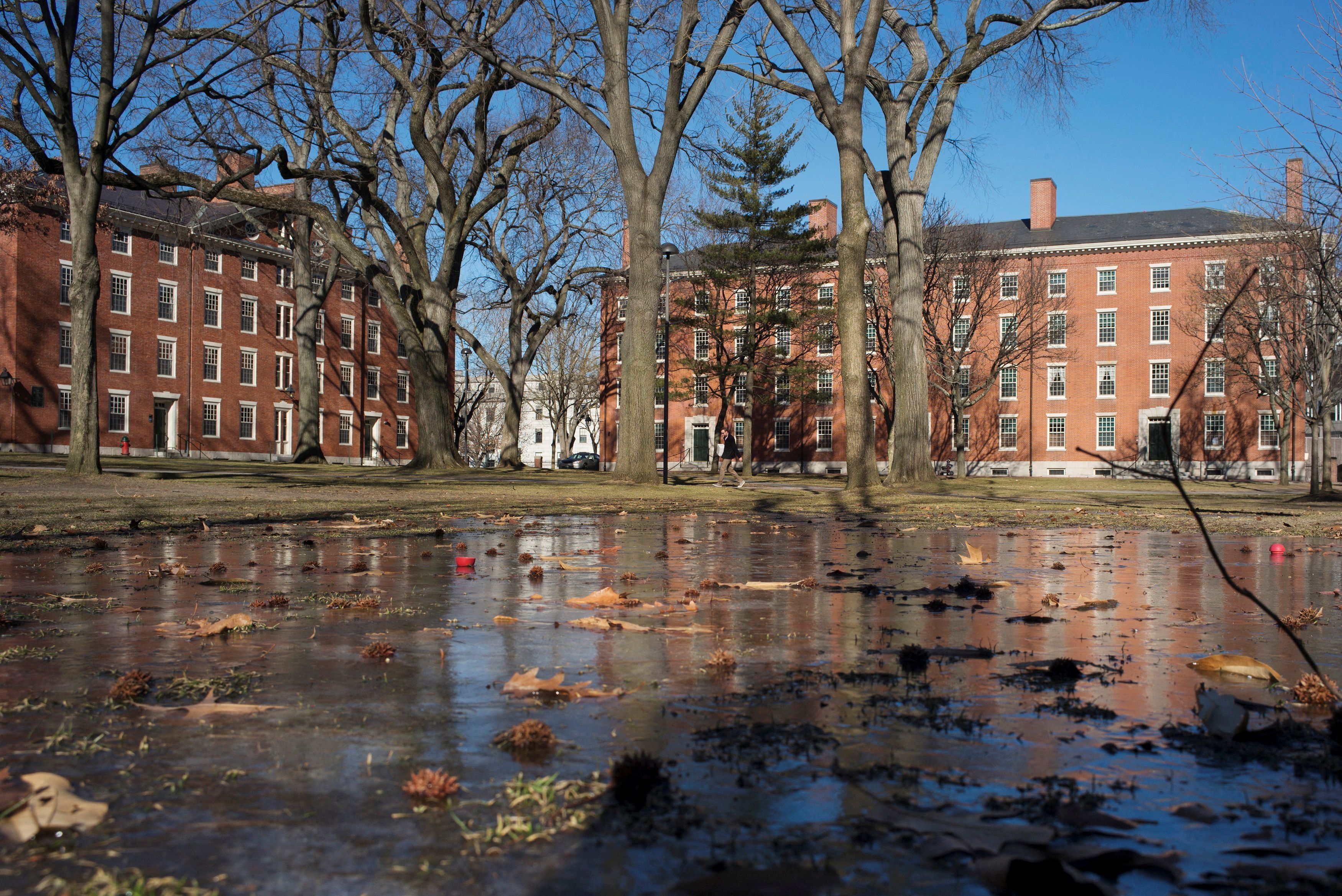 FILE PHOTO: Buildings in Harvard Yard are reflected in frozen puddle at Harvard University in Cambridge, Massachusetts January 20, 2015.   REUTERS/Brian Snyder//File Photo