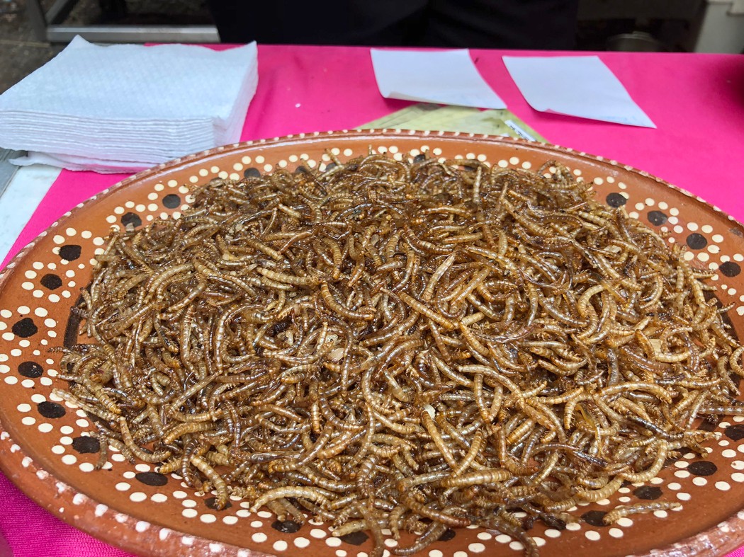 Los gusanos ya son parte de la gastronomía tradicional de algunas partes del mundo, en especial de Asia. 