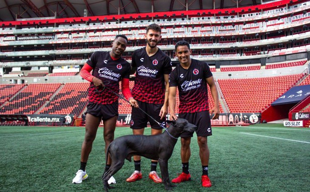 Gallito Vázquez presentado con Xolos Foto: Twitter/@ CornerMX1