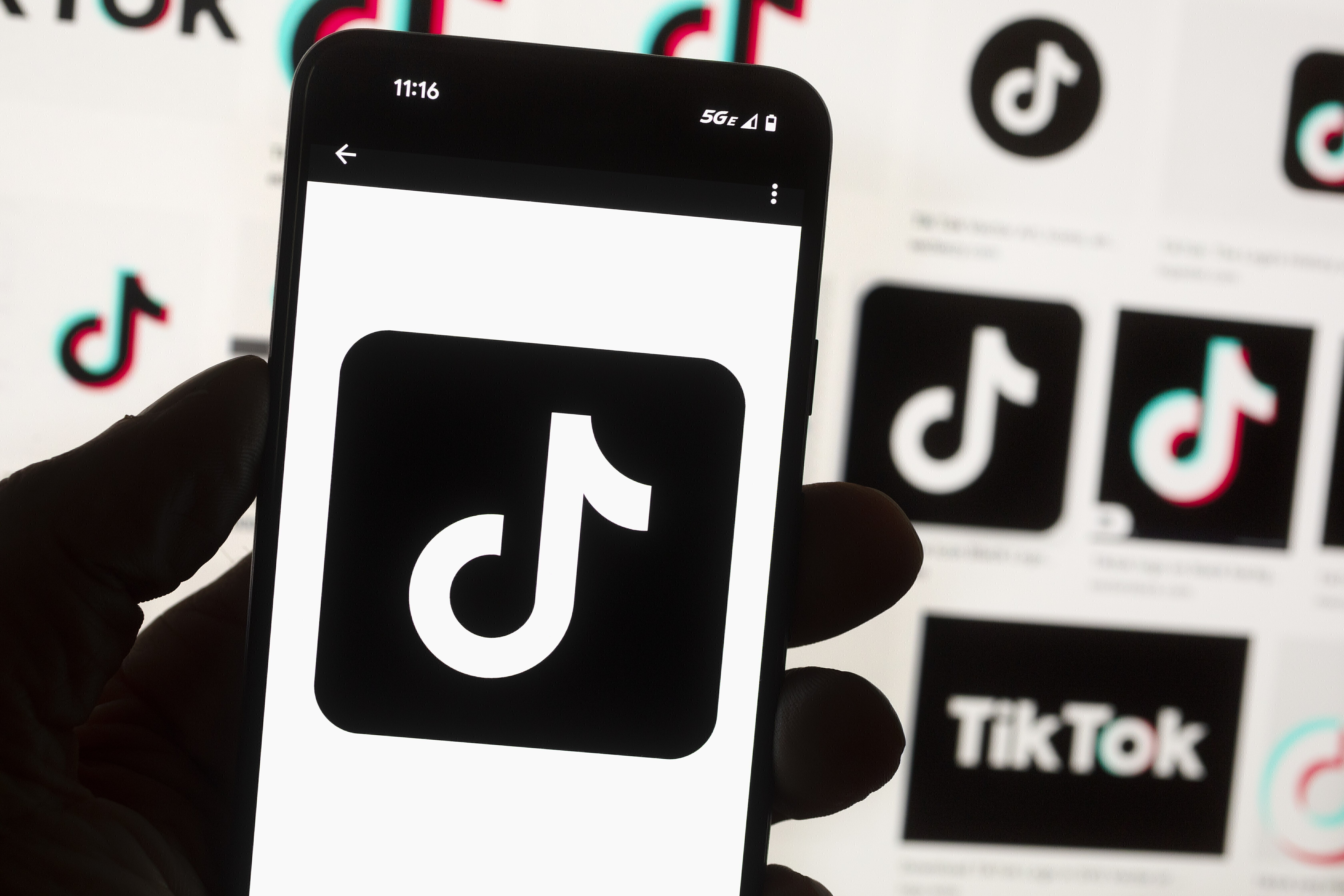 FILE - The TikTok logo is displayed on a cell phone screen in Boston on Oct. 14, 2022. (AP Photo/Michael Dwyer, File)
