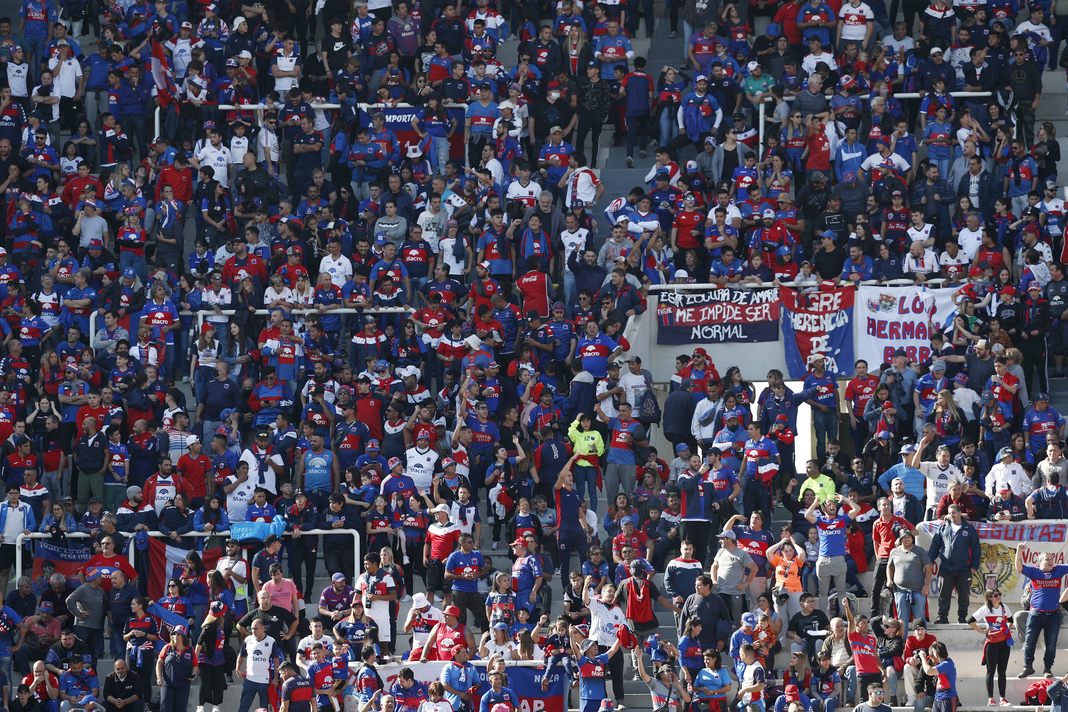 El color de los hinchas de Tigre (REUTERS/Agustín Marcarian)