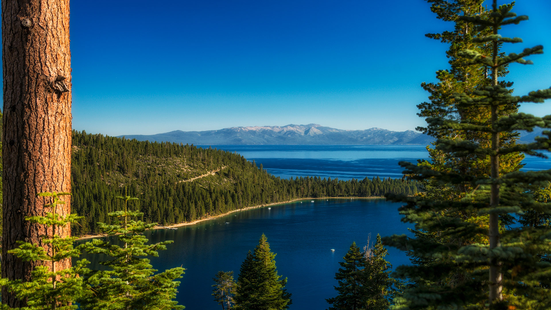 El lago Tahoe siempre ha sido una atracción popular, pero luego de la pandemia, se convirtió en víctima de la gran migración