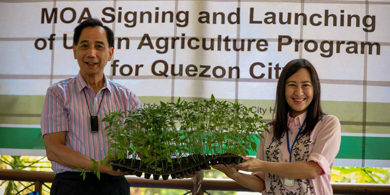 En la ciudad de Quezon, la más poblada de Filipinas, se crearon huertas urbanas en tierras ociosas, con exenciones impositivas para sus propietarios por tres años (Eat Forum)