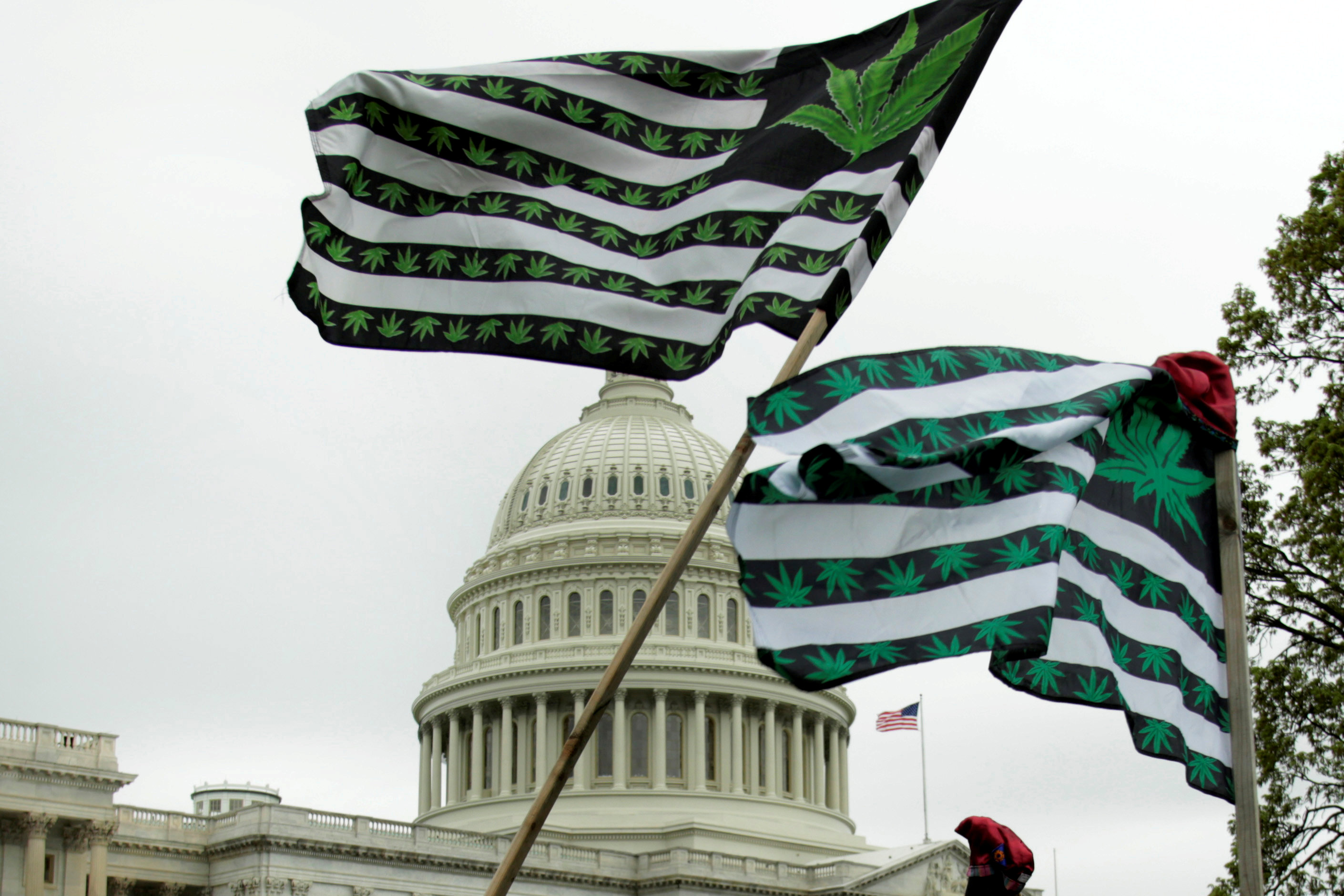 ARCHIVO FOTOGRÁFICO: Banderas con dibujos de hojas de marihuana frente al Capitolio de los EEUU en una manifestación del 24 de abril de 2017. REUTERS/Yuri Gripas