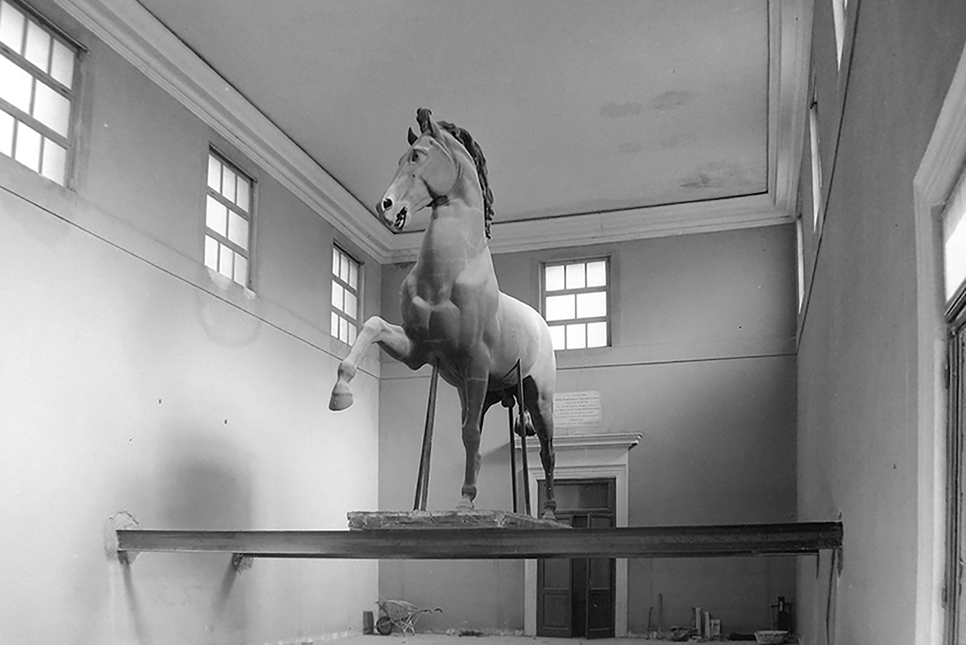 Canova, Modelo en yeso del caballo colosal antes de su desmembramiento. 1950. Cortesía de los Musei Civici di Bassano del Grappa