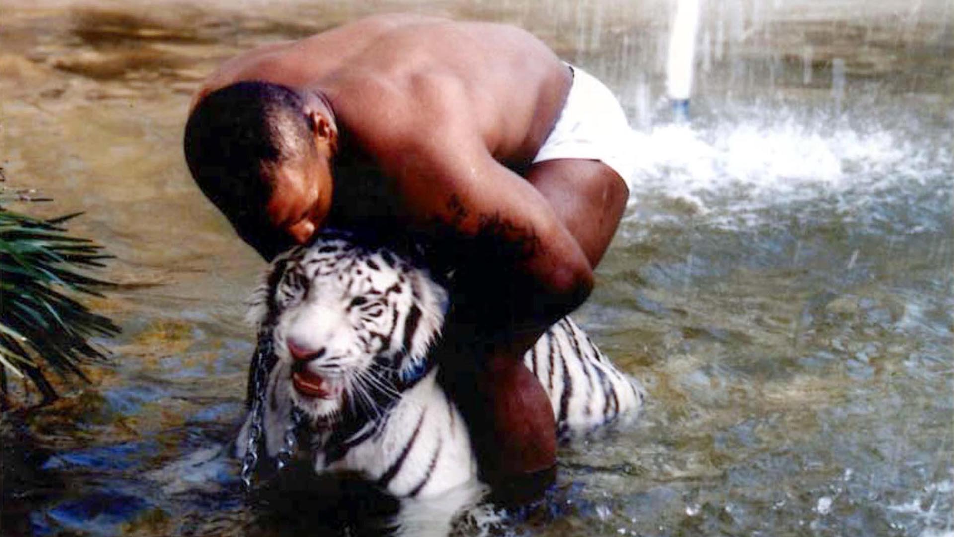 Mike Tyson tuvo tigres de Bengala como mascotas (Shutterstock)