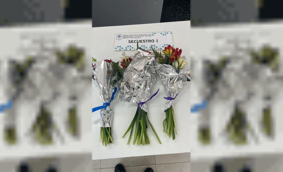 Una estrella de la música corrió la maratón de Berlín sin ser reconocido: el especial apodo que utilizó y la marca que rompió