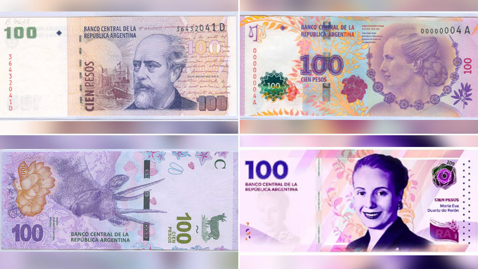 Si se concreta la línea de billetes que Pesce anunció el año pasado habrá cuatro billetes distintos de 100 pesos