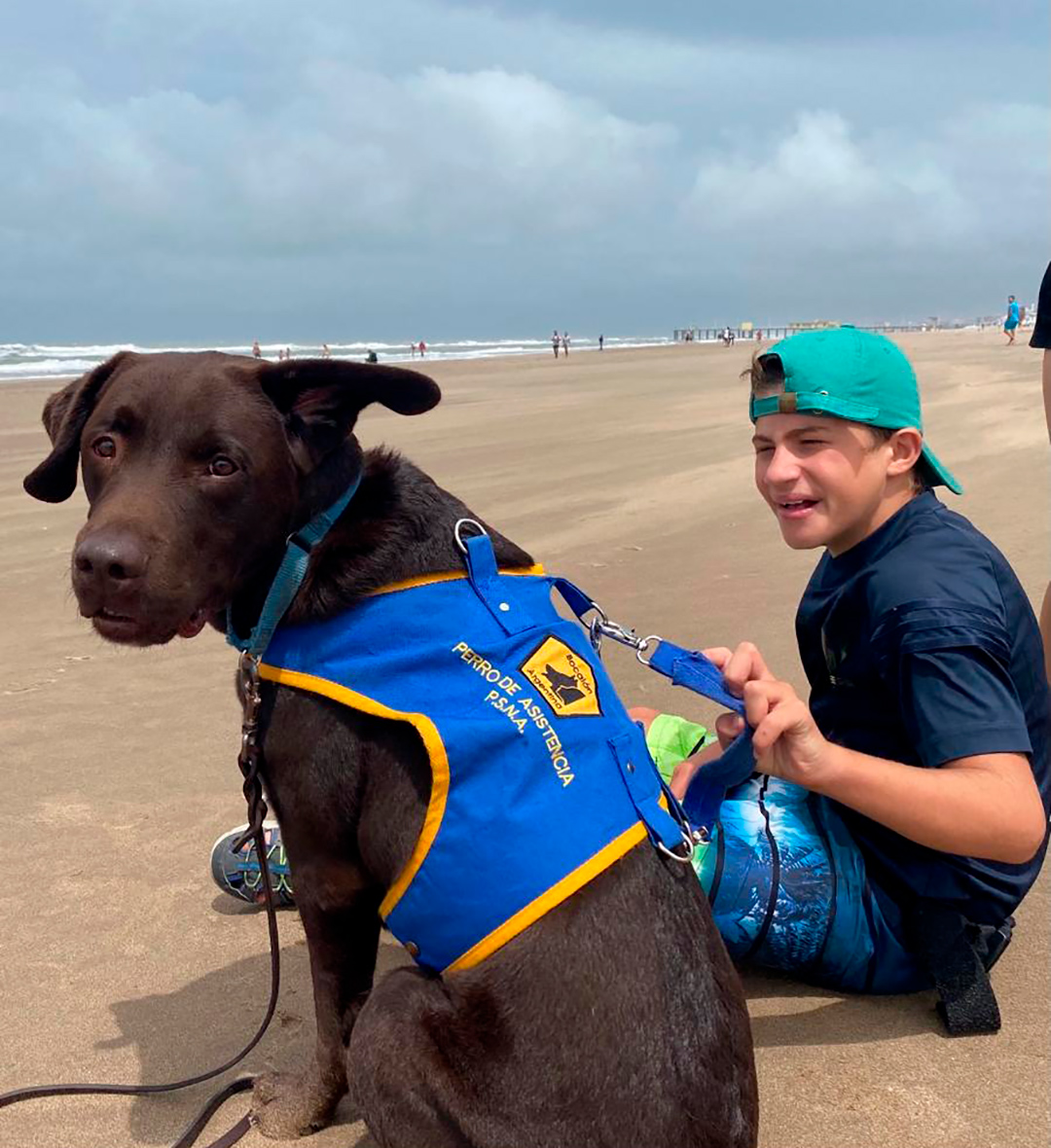 No los dejaron entrar a un hotel de Cataratas con el perro de asistencia de  su hijo y suspendieron el viaje - Infobae, image size:1080x1180