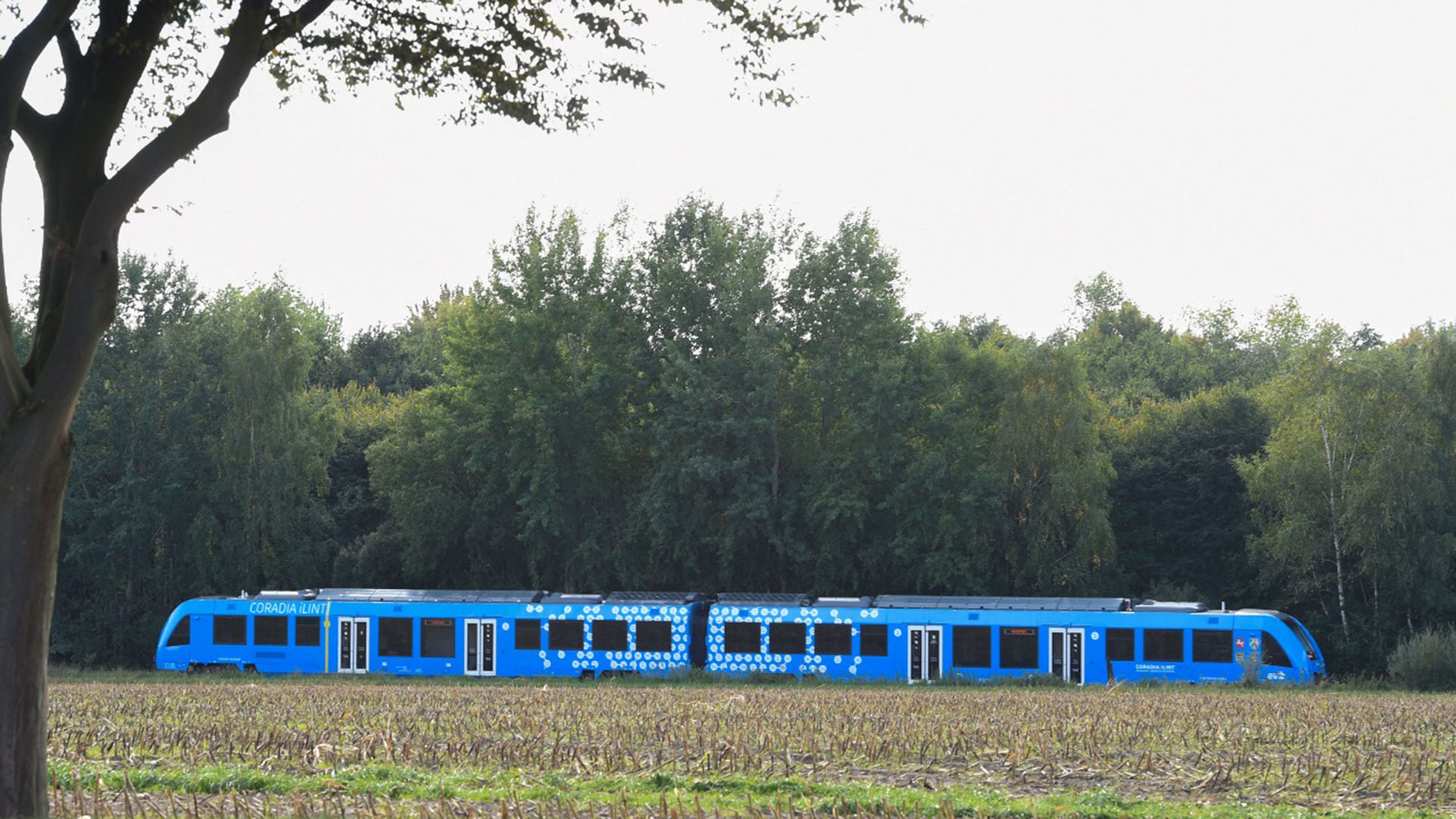Un tren impulsado por hidrógeno (Patrik STOLLARZ / AFP)