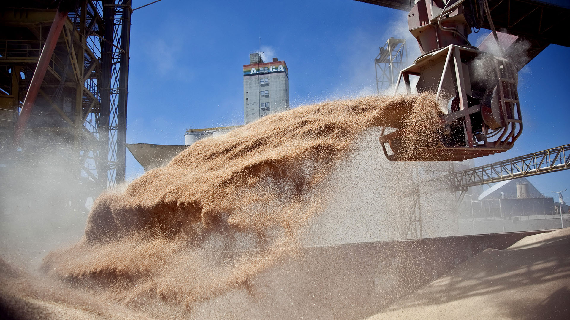 Sequía: proyectan que la molienda de soja de 2023 sea la más baja de los últimos 18 años 