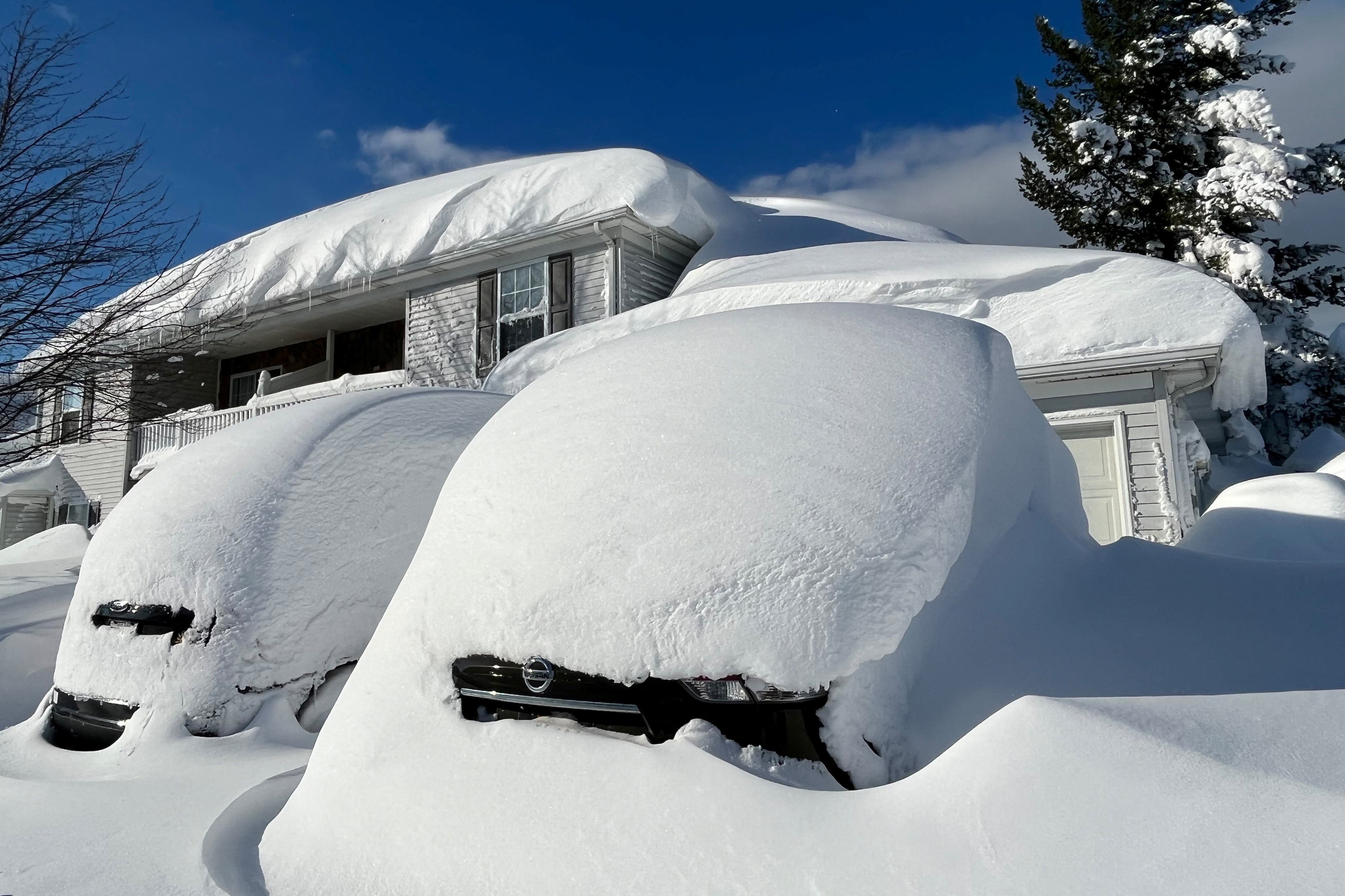 Le auto sono coperte da un mucchio di neve ad Amburgo, New York, il 19 novembre 2022.