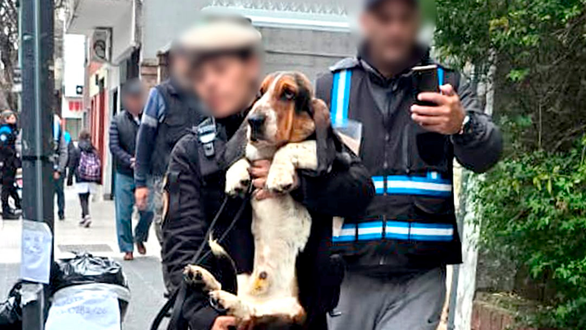 Desmantelaron un criadero ilegal en Almagro: imputaron al due&ntilde;o por maltrato animal y rescataron 14 perros