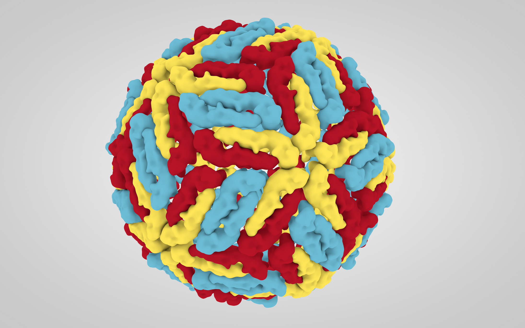 Así se ve la estructura de los flavivirus (Getty Images)