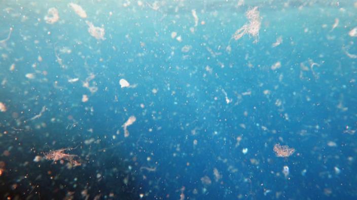 Océanos: por qué las bacterias pueden aportar una solución a la contaminación por microplásticos