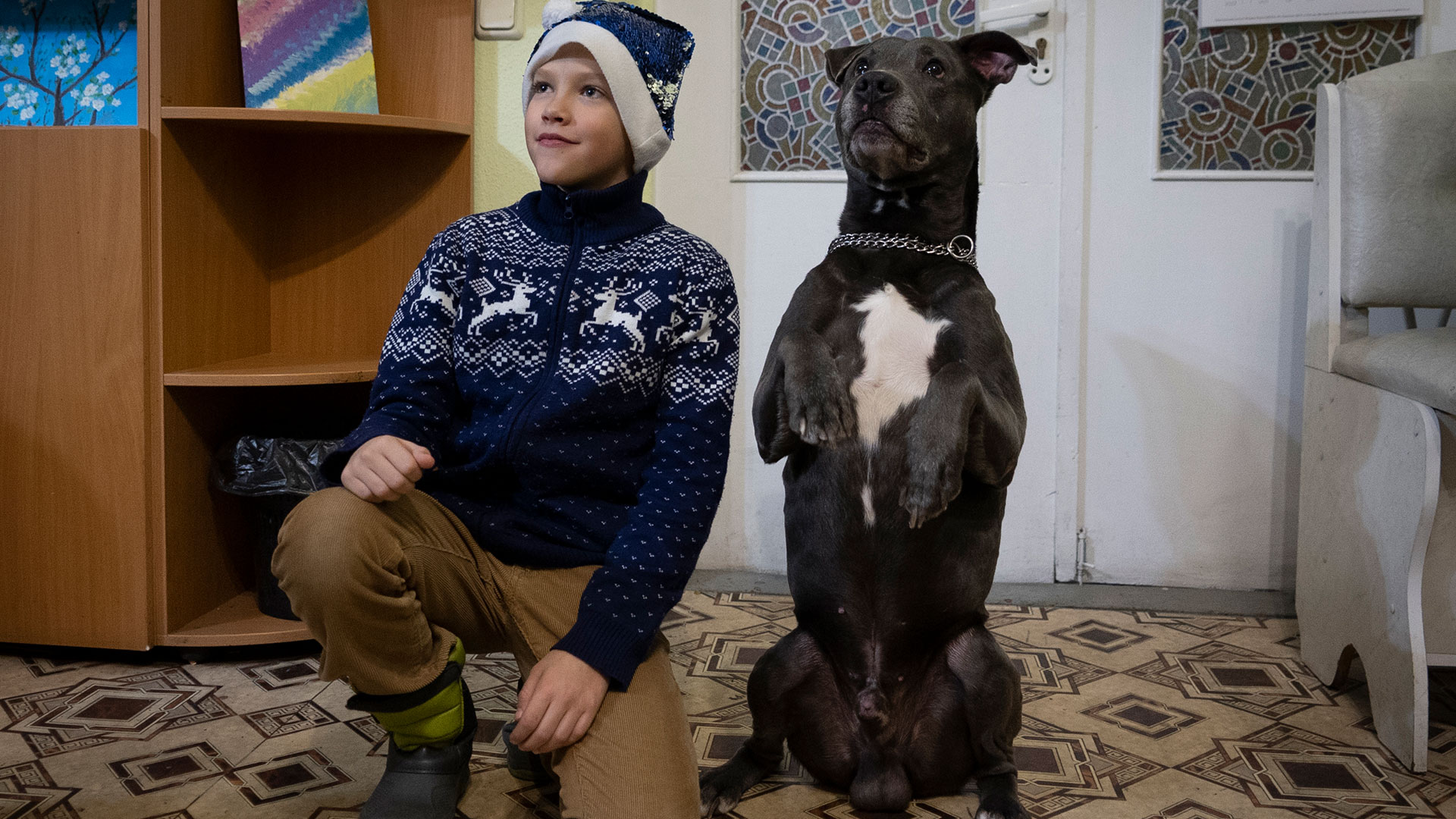 Un niño posa para una foto con un pitbull terrier americano "Bice" en el Centro de Rehabilitación Social y Psicológica en Boyarka, cerca de Kiev, Ucrania, el miércoles 7 de diciembre de 2022.
(Foto AP/Vasilisa Stepanenko)