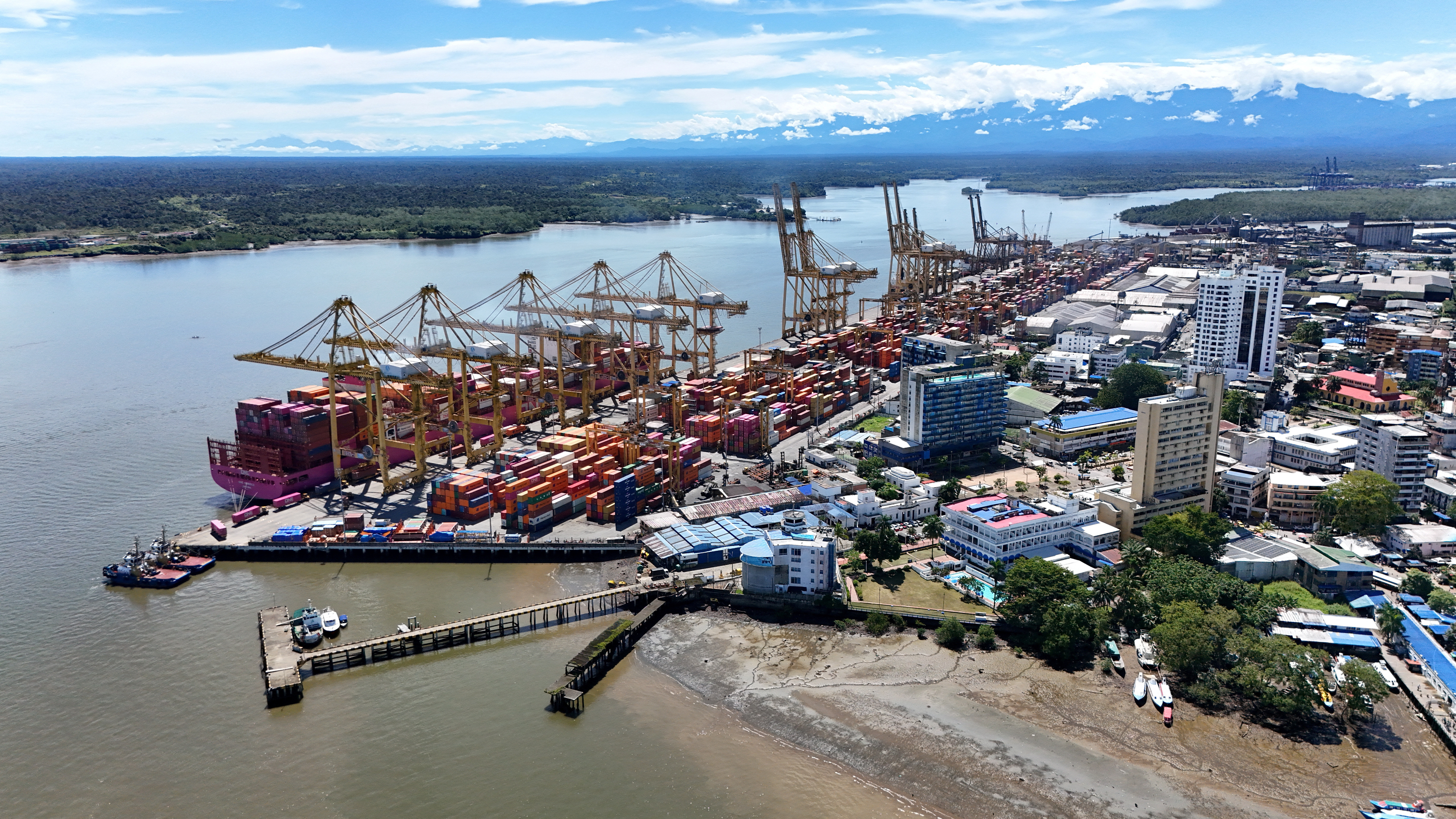 Juan Daniel Oviedo arremetió contra el Gobierno Petro al asegurar que en  Buenaventura “están comiendo mierda” - Infobae