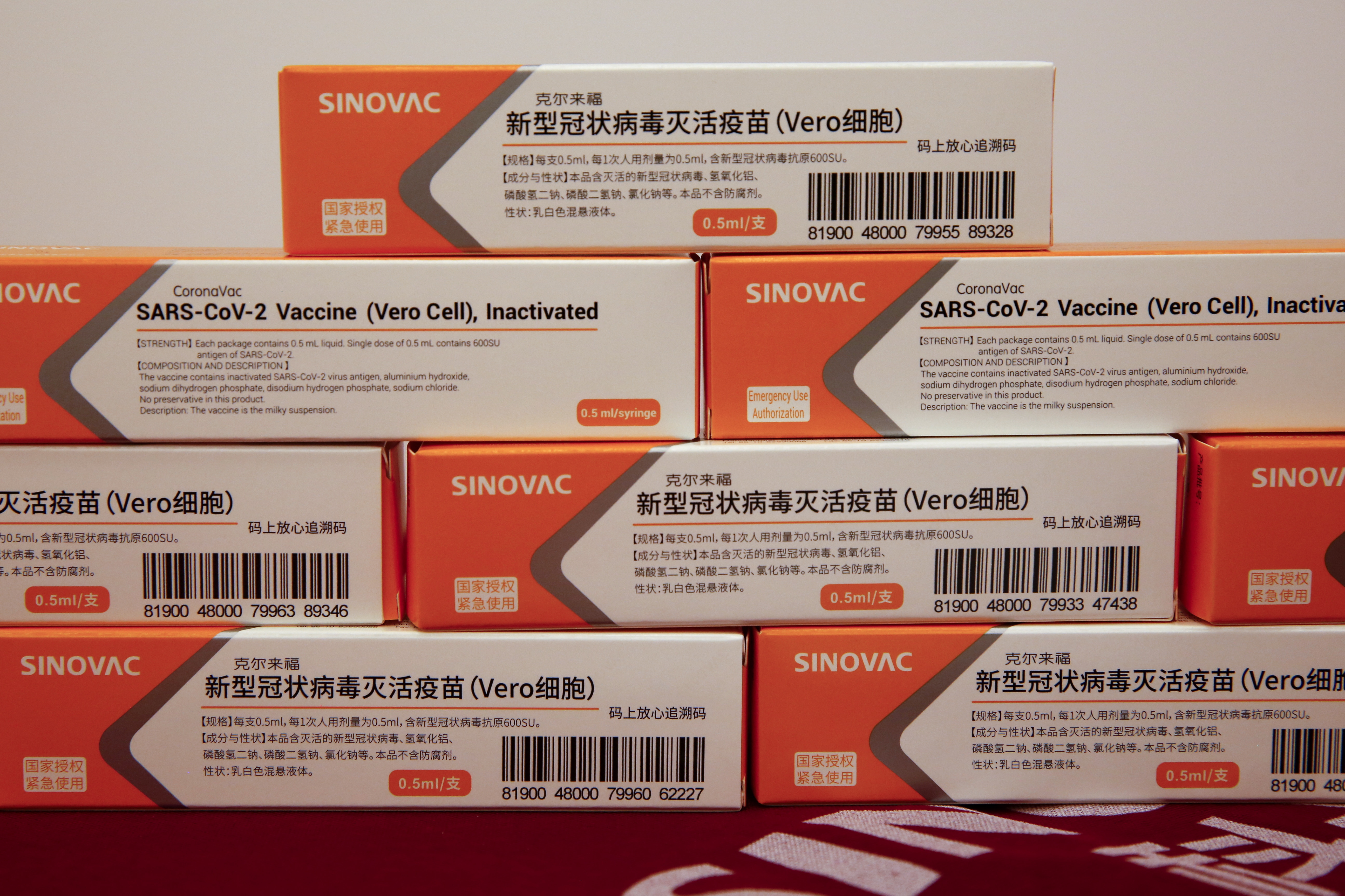Vista de unas vacunas de Sinovac contra la covid-19. EFE/Wu Hong/Archivo
