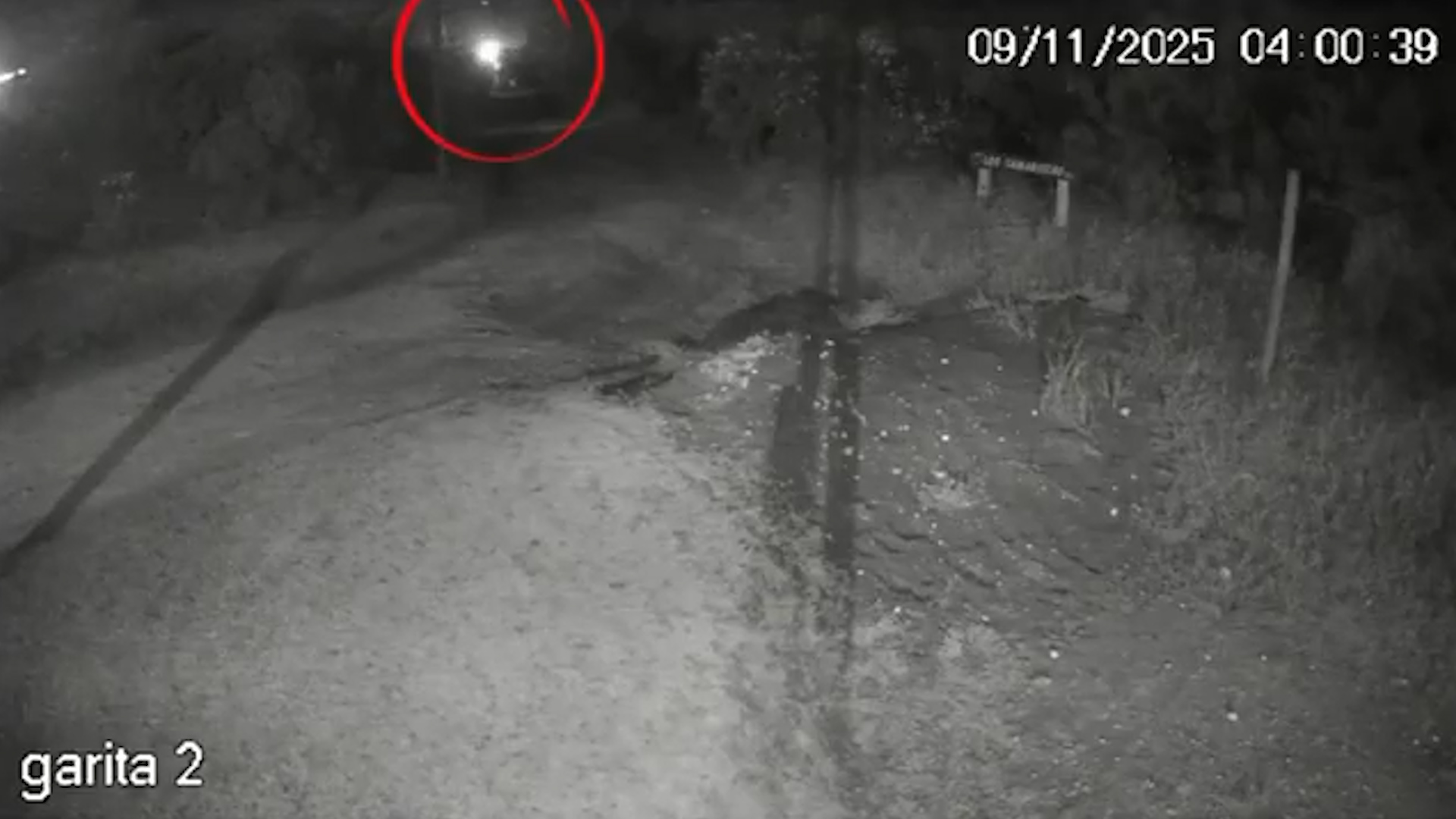 La furiosa crítica de Franco Colapinto a Lance Stroll tras otro cruce en el GP de Brasil: “Siempre está sacando gente de la pista”