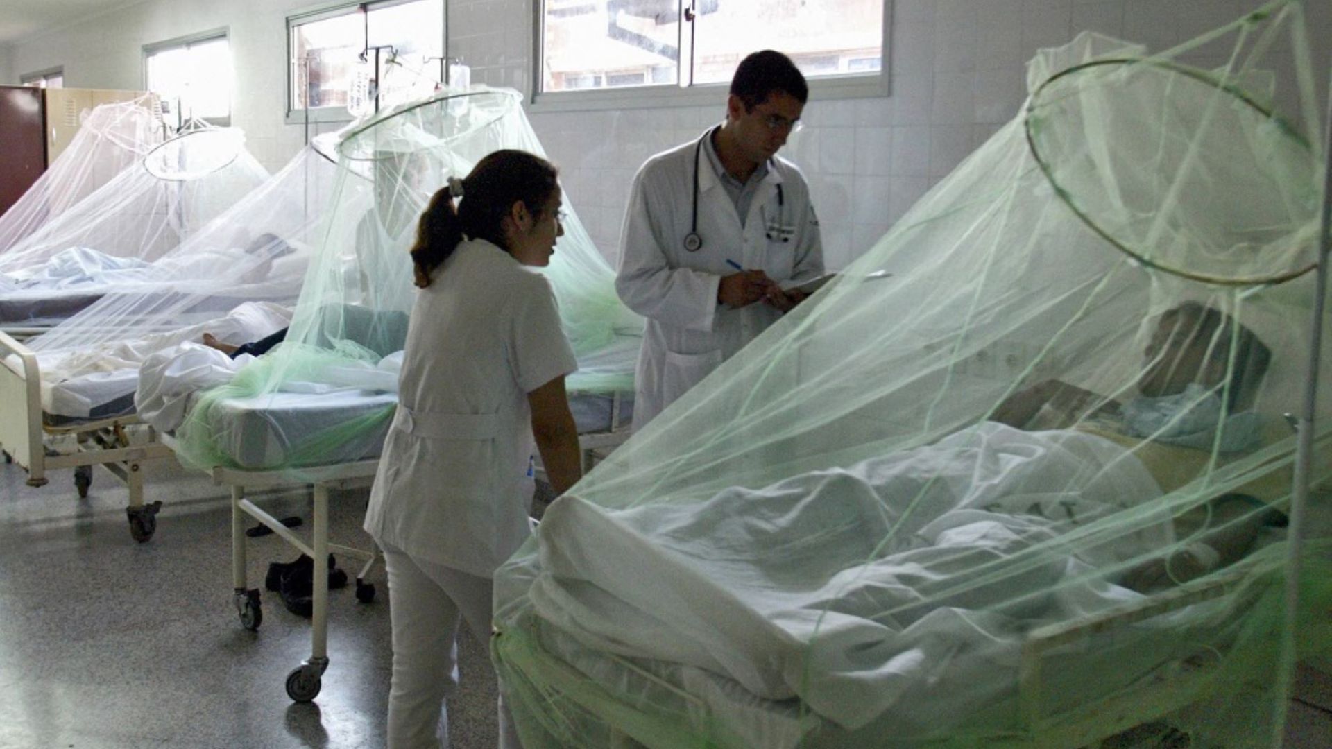 13 niños en estado crítico por Dengue fueron traídos a Lima para su atención en el INSN