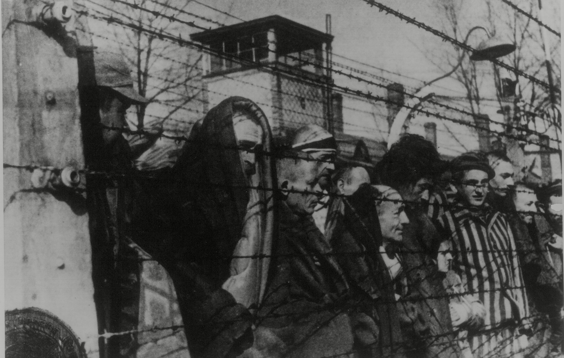 Las atrocidades en Auschwitz en esta imagen de los prisioneros frente a un alambre electrificado en el campo de exterminio (Northcliffe Collection/ANL/Shutterstock)

