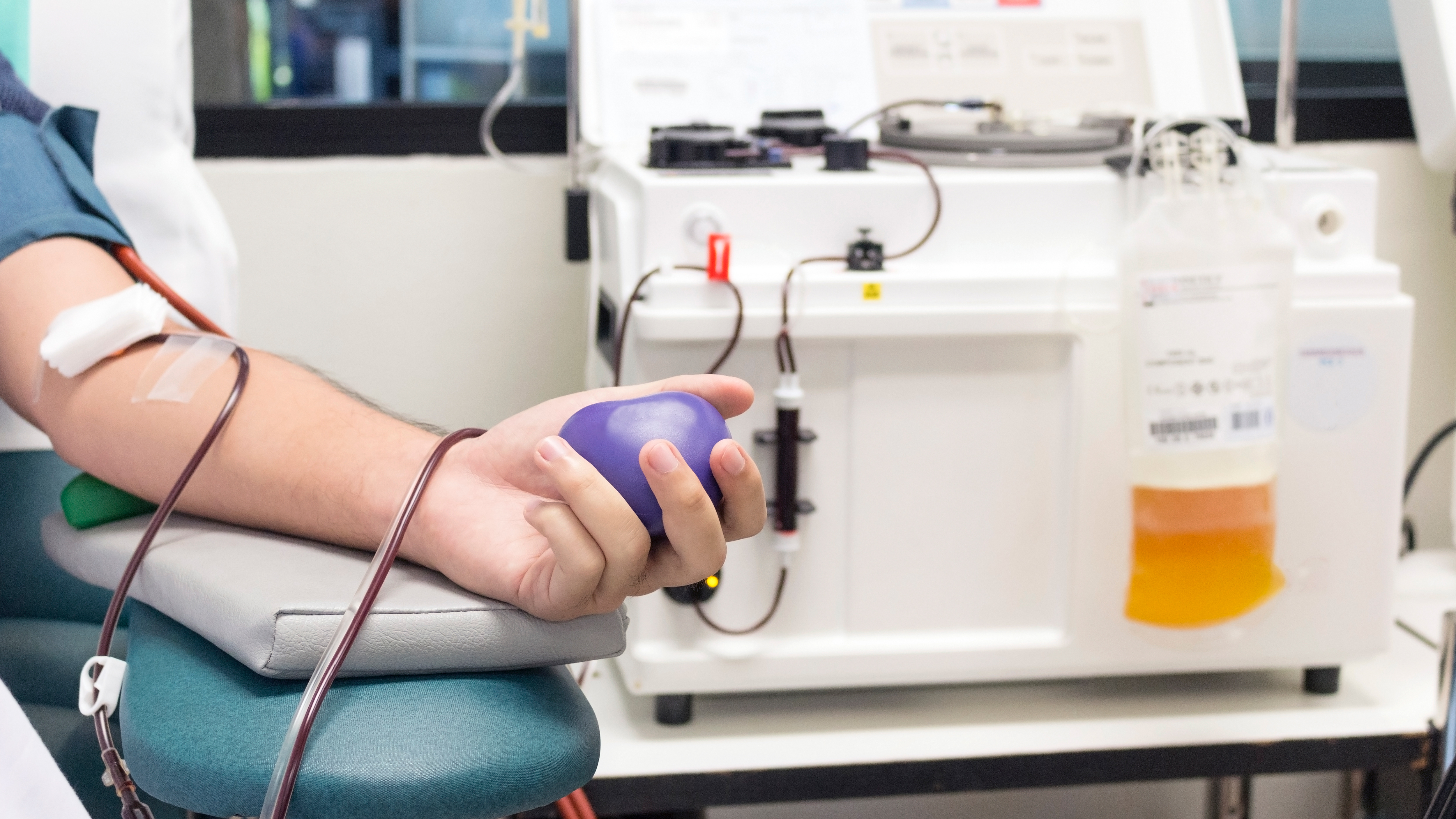 "La idea es ampliar esta opción de tratamiento en la medida en que la gente que se recupera tenga la intención de donar su plasma" (Shutterstock)