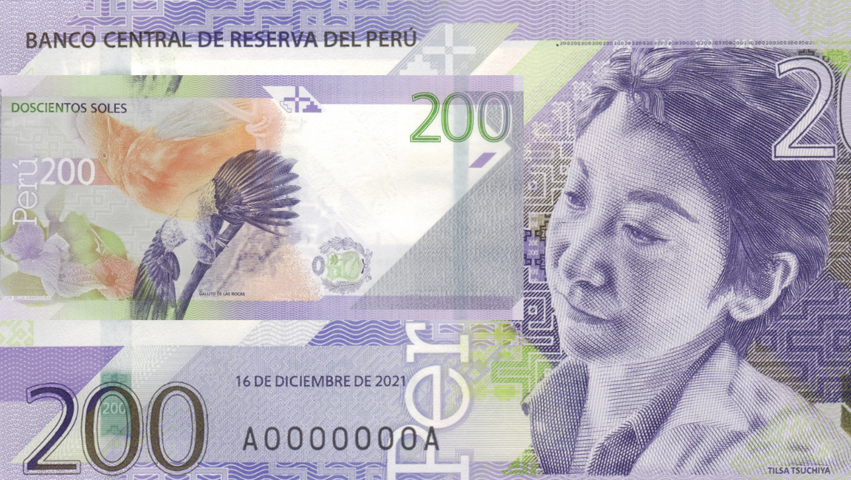 Billete de 200 soles: qué opinan los coleccionistas peruanos y a cuánto lo  venden en redes sociales - Infobae