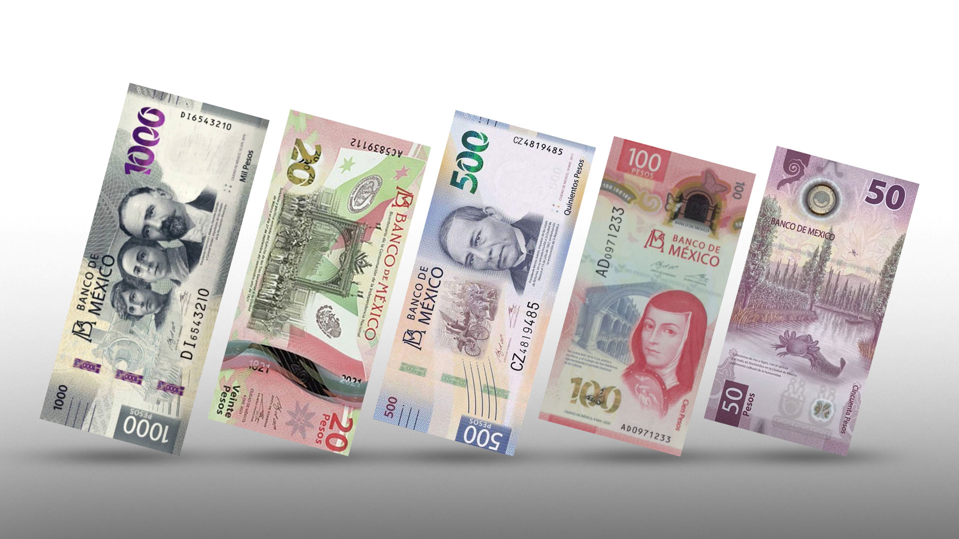 Cinco billetes actuales a precios descomunales: se ofrecen de los 20 mil hasta los 500 mil pesos