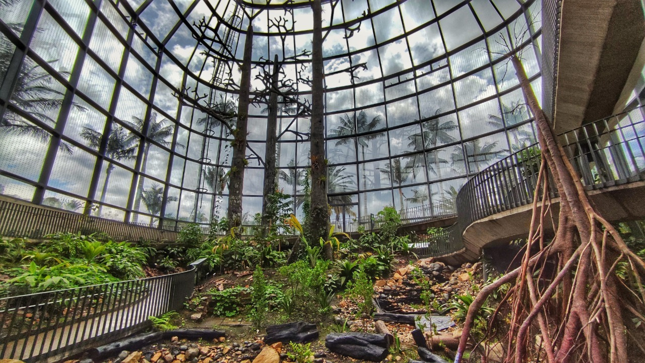 ボゴタ植物園が今週の聖週間の計画 Infobae