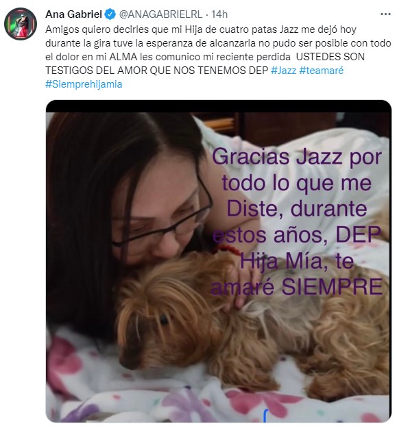 "Jazz" era el nombre de su perrita