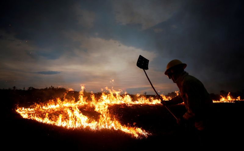 Un brigadista de incendios del Instituto Brasileño de Medio Ambiente y de los Recursos Naturales Renovables (IBAMA) intenta controlar los puntos críticos durante un incendio en las tierras indígenas Tenharim/Marmelos, estado de Amazonas, Brasil. 15 de septiembre de 2019. REUTERS/Bruno Kelly.
