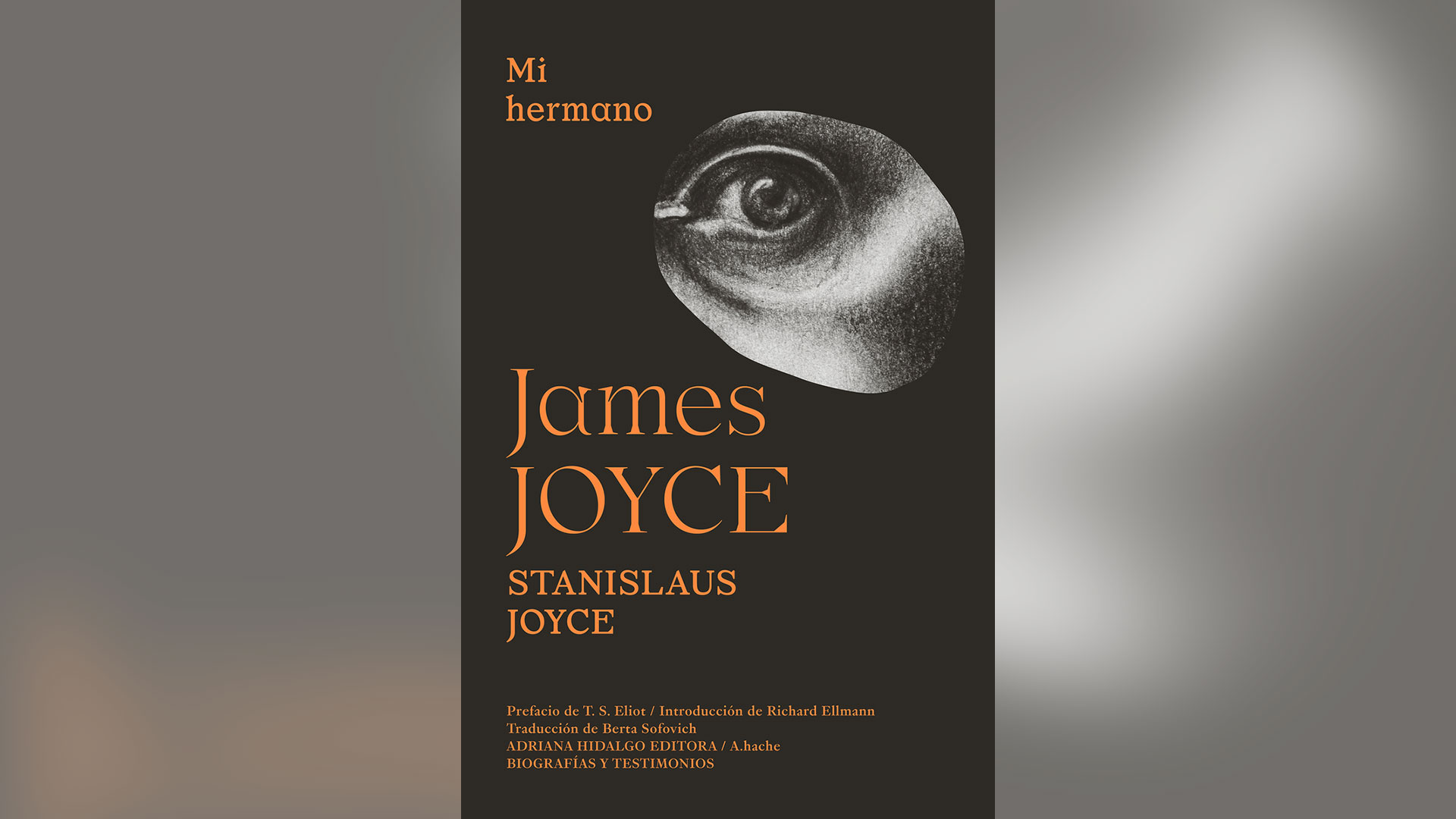 Mi hermano James Joyce fue editado por el sello Adriana Hidalgo.