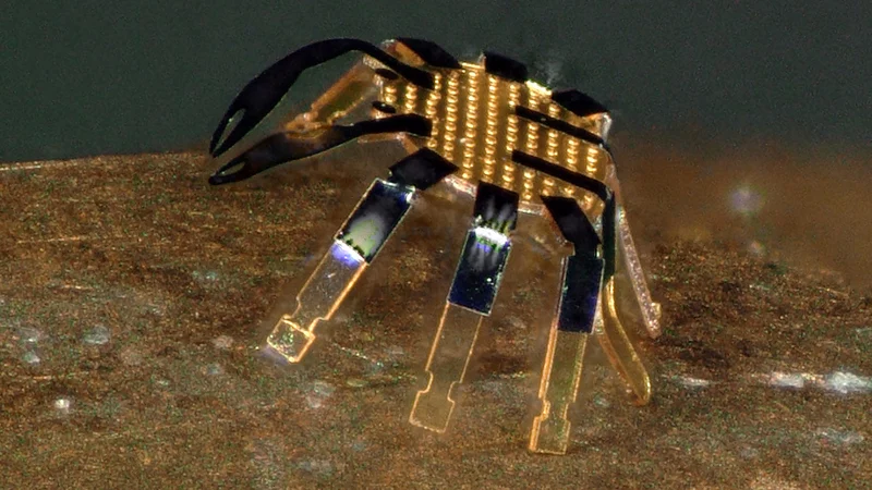 El micro robot cangrejo mide apenas medio milímetro de ancho.