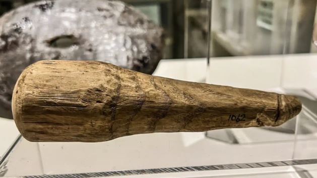La pieza podría haber sido utilizada como un juguete sexual y sería el único consolador romano de madera de tamaño natural conocido 