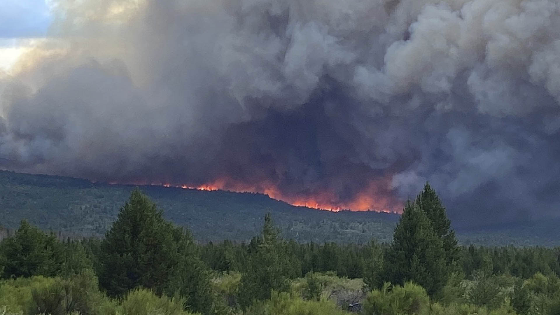 Las Impresionantes Imágenes Del Incendio Forestal Que Ya Consumió Más De Mil Hectáreas De Bosque 2536