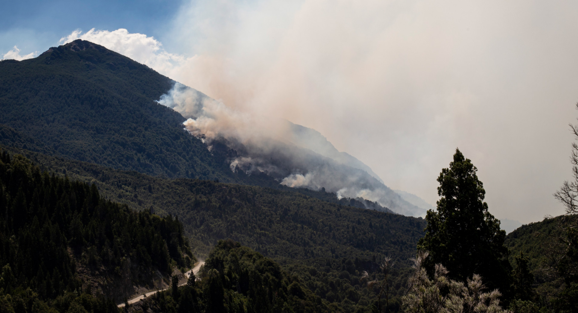 Incendios En La Patagonia El Gobierno Declaró La Emergencia En Todo El