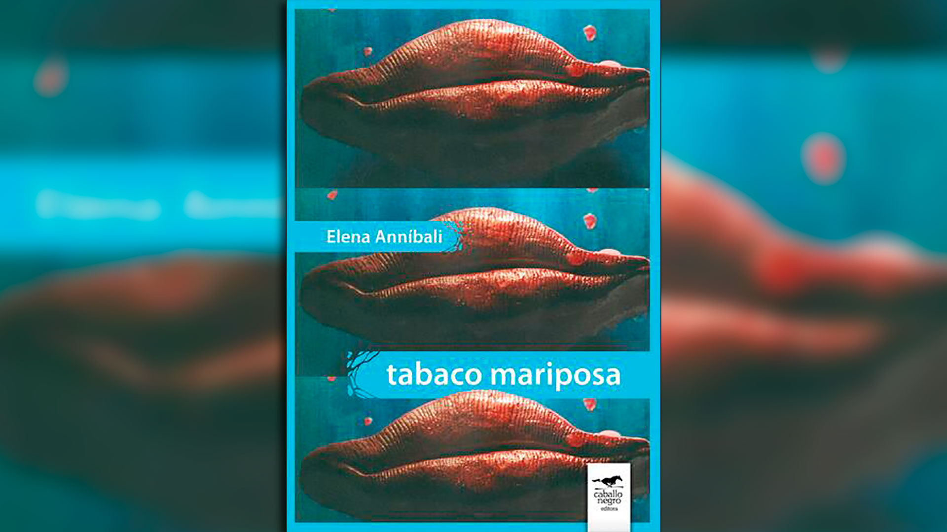 Portada de "Tabaco mariposa", de Elena Anníbali.